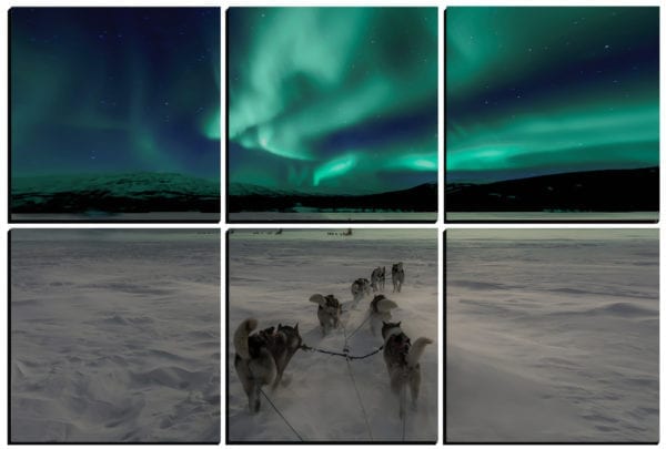 Dogsledding in Norway under the beautiful Aurora Borealis night sky printed on 6 stylish PhotoSquares that stick