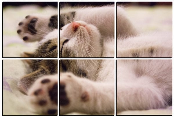 Happy kitten stretching and smiling printed on 6 stylish PhotoSquares