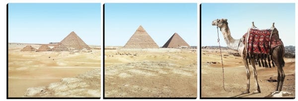 Great Pyramids of Giza with Camel onlooking printed on 3 stylish PhotoSquares